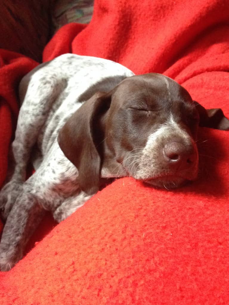 My Stella before I left