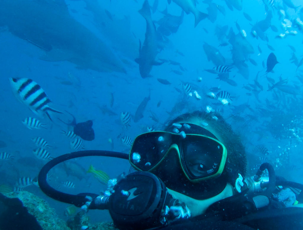 Fiji shark dive 