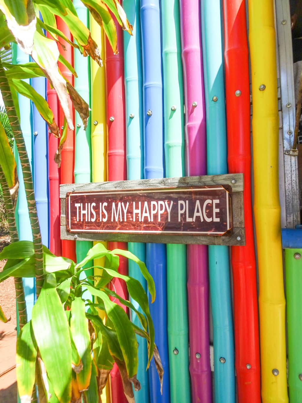 This is my Happy place rainbow coloured sign in Hawaii