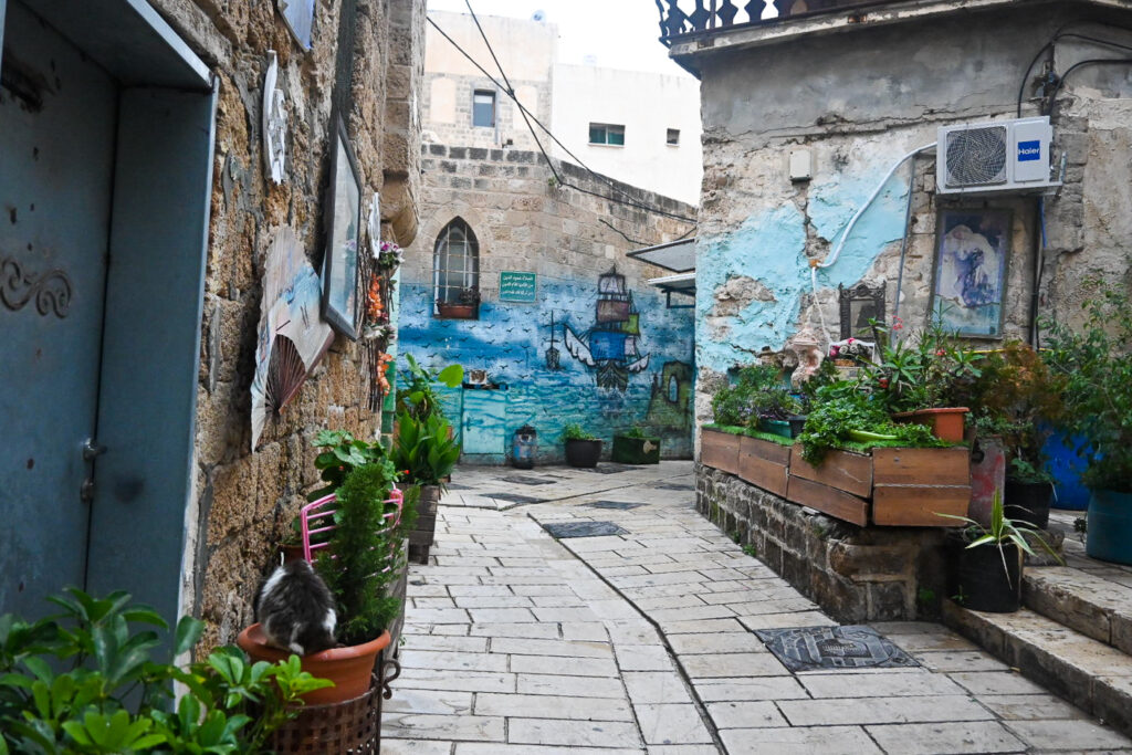 Art-covered streets in Akko, Israel