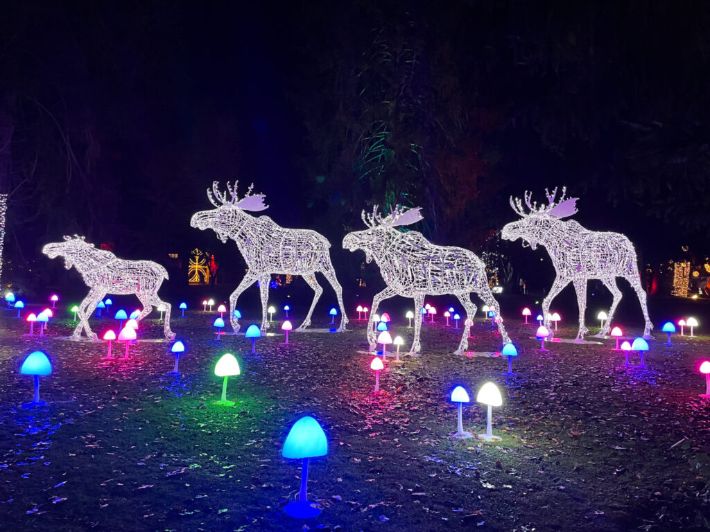 Four moose made up of lights in the forest 