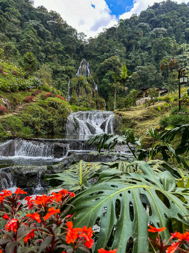 Lush jungle greenery and orange flowers framing a waterfall