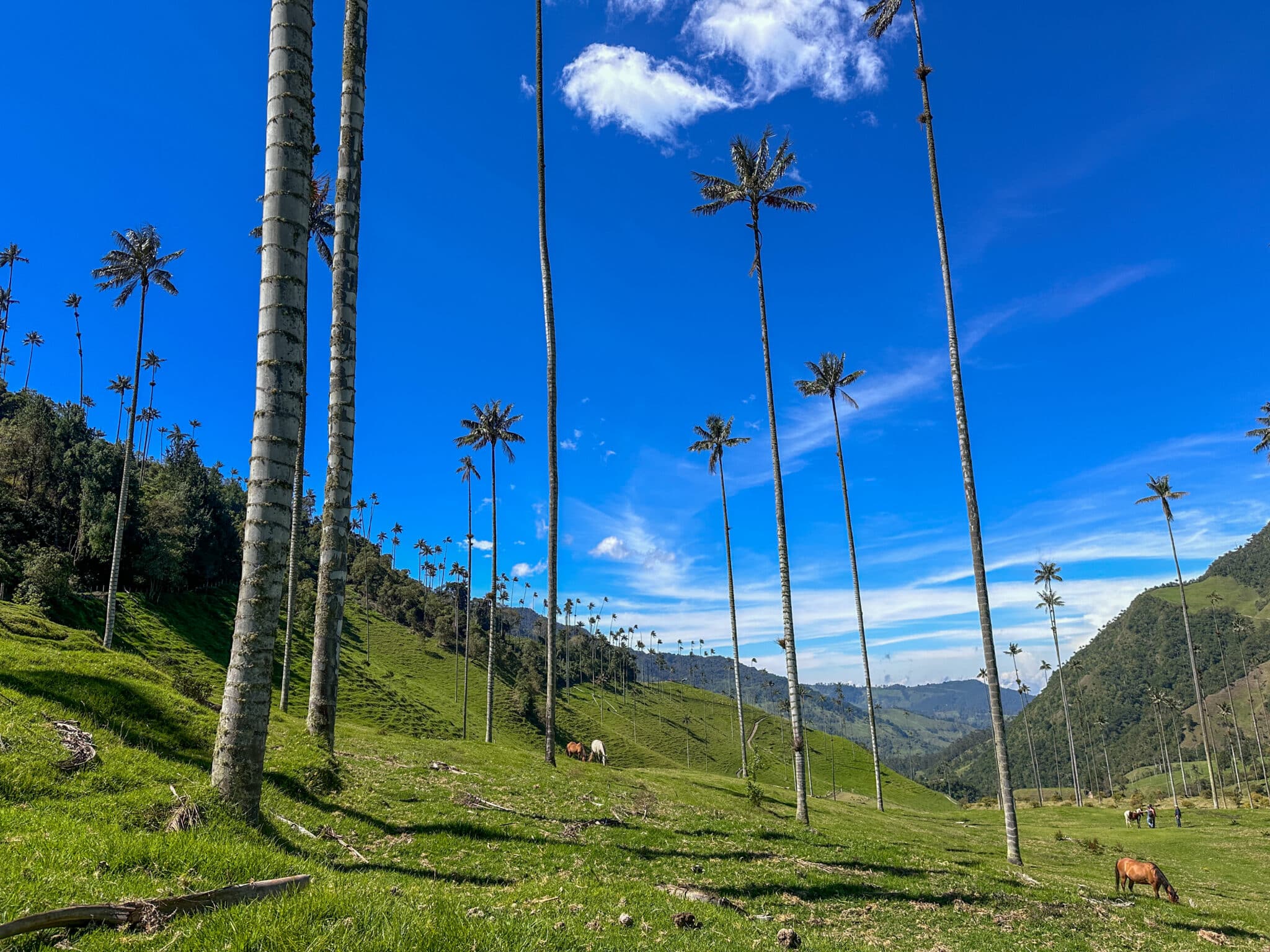 Salento Itinerary 3 Perfect Days In Salento Colombia Eat Sleep 